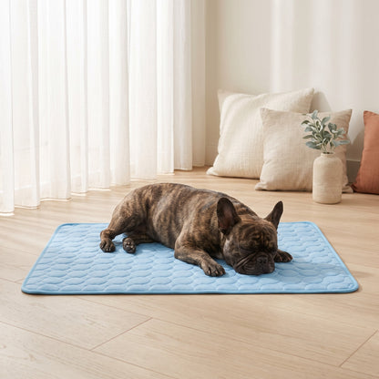 Bouledogue français endormi sur le tapis rafraîchissant bleu