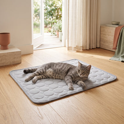 Chat allongé sur le tapis rafraîchissant gris