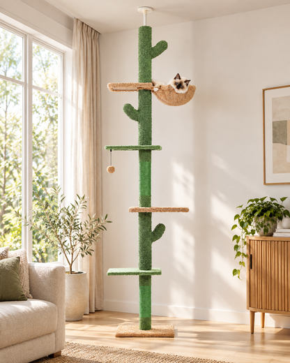 Arbre à chat cactus du sol au plafond — mise en situation