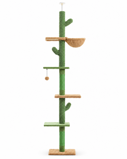 Arbre à chat cactus du sol au plafond — packshot sur fond blanc
