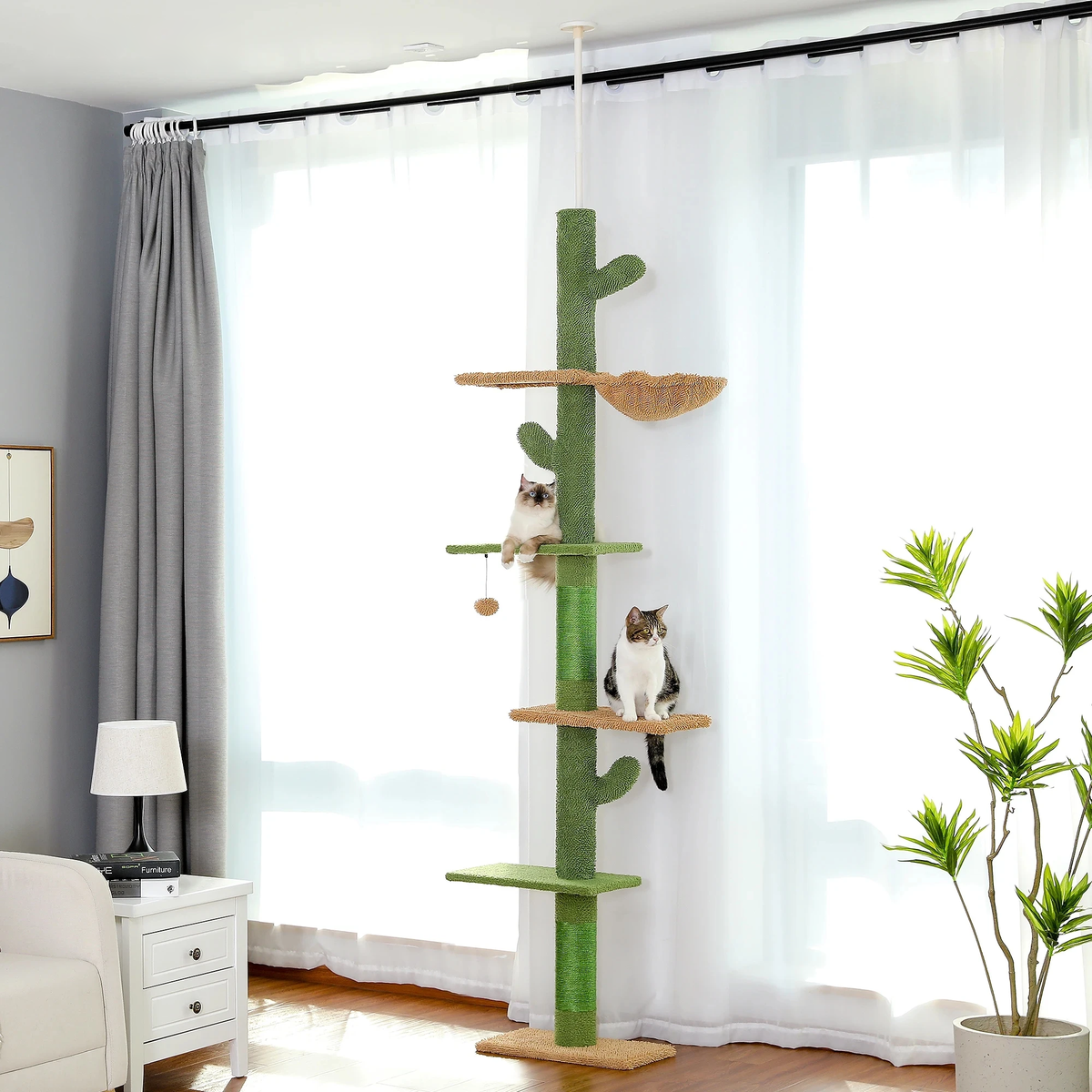 Arbre à chat cactus dans un salon lumineux