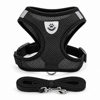 Harnais en maille pour chat et petit chien avec laisse – Réfléchissant