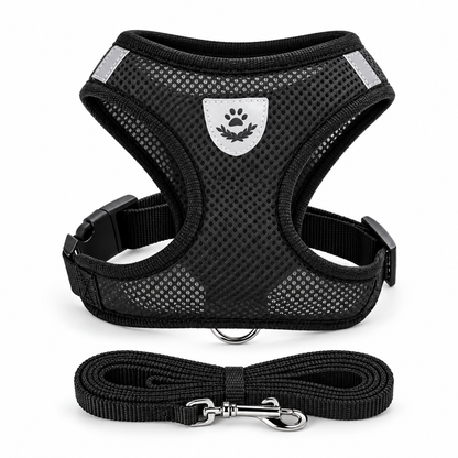 Harnais en maille noir pour chat et petit chien avec laisse – vue studio