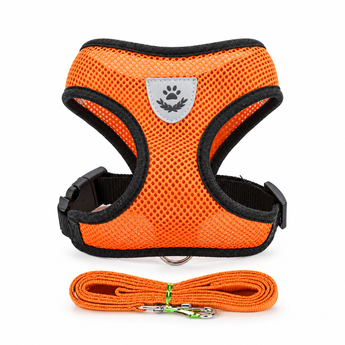 Harnais en maille orange et laisse assortie — photo studio sur fond blanc