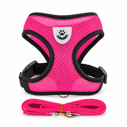 Harnais en maille rose vif et laisse assortie — photo studio sur fond blanc