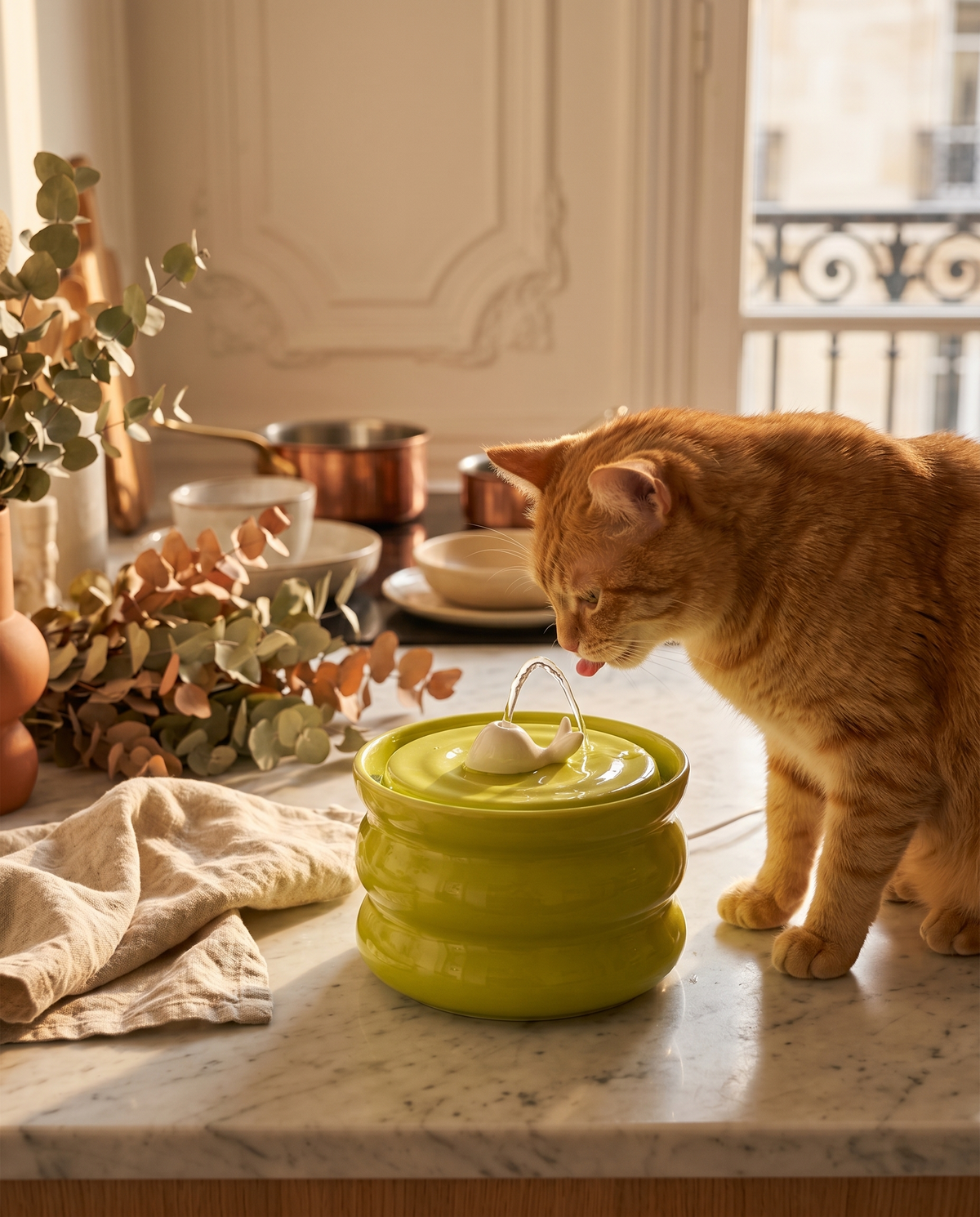 Fontaine vert anis sur plan de travail, chat qui boit, cuisine lumineuse