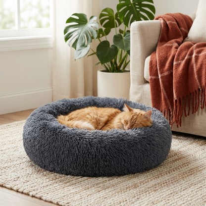 Coussin donut apaisant avec un chat endormi à l'intérieur, salon cosy