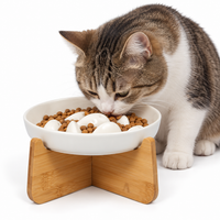Gamelle surélevée anti-glouton pour chat et petit chien — Margot