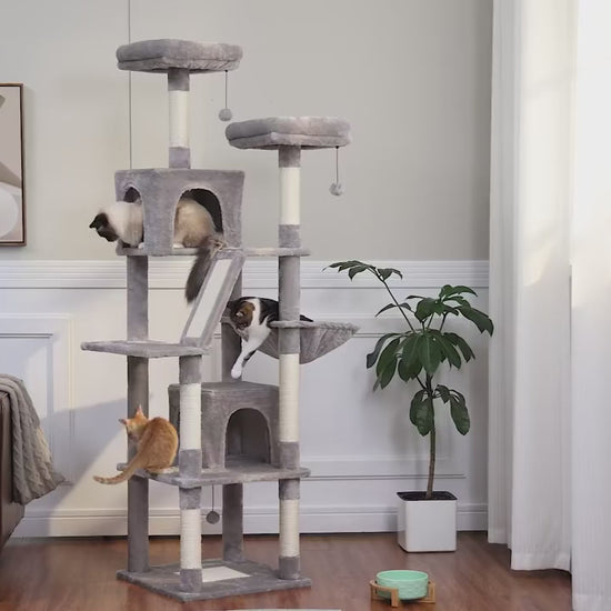 Arbre à chat 180 cm en situation : chats sur les perchoirs, dans le hamac et les niches